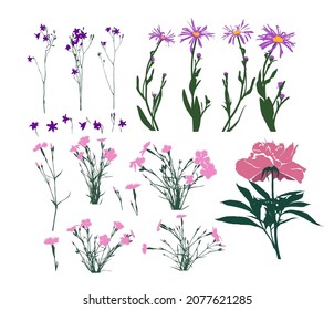 A set of different flowers. Vector illustration