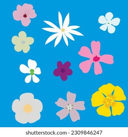 set of different flowers, white, pink, yellow flowers. blooming flowers, herbs, pattern