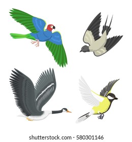 Set of different flying birds vector illustration.