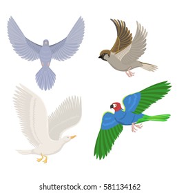 Set of different flying birds vector illustration.