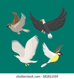 Set of different flying birds vector illustration.