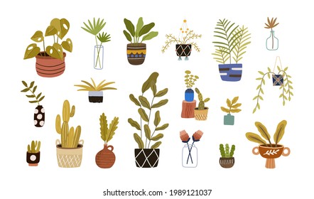 Set of different foliage indoor plants for house and office interior decoration. Green houseplants in pots, baskets, vases, and planters. Colored flat vector illustration isolated on white background