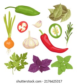 Set of different food flavoring spices. Plants and vegetables for cooking, various aromatic ingredients, pepper and parsley leaves, onion and garlic, special taste vector illustration