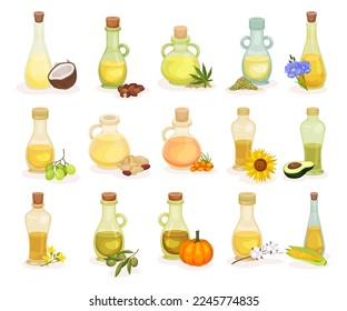 Set of different food oils in glass bottles. Glass jugs of natural, organic healthy oil products cartoon vector
