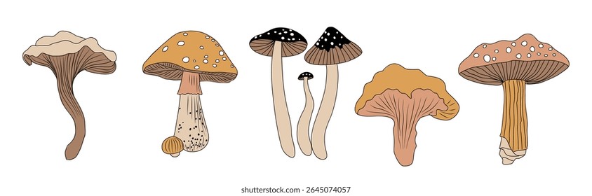 Conjunto de diferentes cogumelos de floresta colorido esboço de ilustrações vetoriais. Coleção de desenhos em estilo de esboço isolado no fundo branco. 