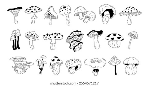 Set of different forest mushrooms drawn in doodle style. Seasonal autumn mushrooms chanterelle, pognanka, fly agaric in line art style. Vector illustration. Toadstool, fly agaric, chanterelle, boletus