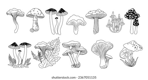 Set of different Forest mushrooms hand drawn line art vector illustrations. Collection of Outline black ink sketch drawings isolated on white background. Contour black line monochrome.