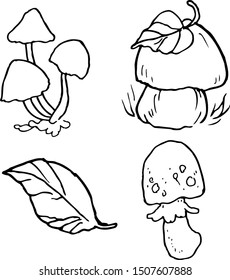 set of different forest mushrooms. linear monochrome drawing. hand drawn black and white vector illustration. boletus toadstool and fly agaric. template for coloring book
