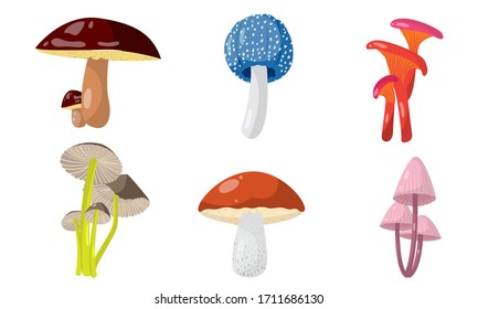 Set of different forest mushrooms and toadstools. Vector illustration in flat cartoon style