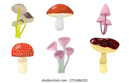 Set of different forest mushrooms and toadstools. Vector illustration in flat cartoon style