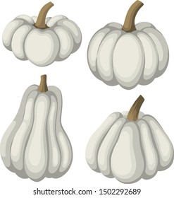Set of the different form white pumpkin cartoon style, vector illustration. elements for autumn decoration