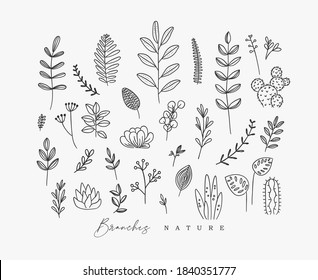Set of different forms branch and leaves in minimalism style drawing on white background