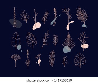 Set of different forms leaves in minimalism flat style on dark background