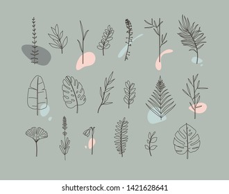 Set of different forms leaves in minimalism flat style on grey background