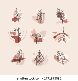Set of different forms leaves in minimalism flat style on beige background