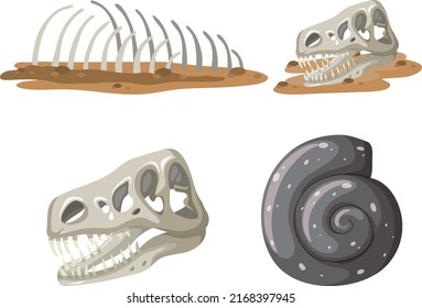 Set of different fossils isolated illustration