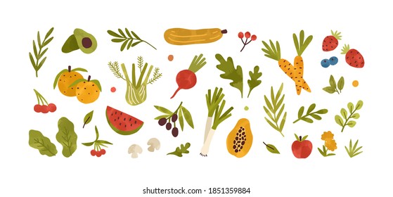 Set of different fresh vegetables, fruits, berries and salad greens. Collection of vitamin organic food. Healthy products. Flat vector cartoon illustration isolated on white background