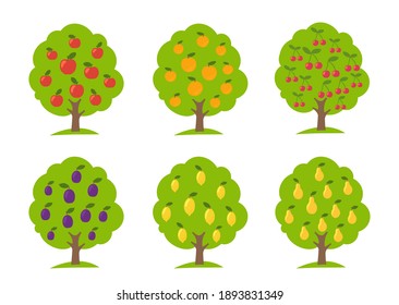 Set of different fruit trees. Lemon and orange apple cherry pear plum. Orchard garden harvest. Vector Illustration.