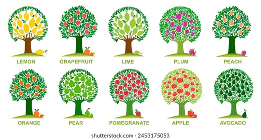 Set of different fruit trees with ripe fruits isolated on white background. Harvest time. Collection of fruit orchard trees isolated on White background. Vector illustration.