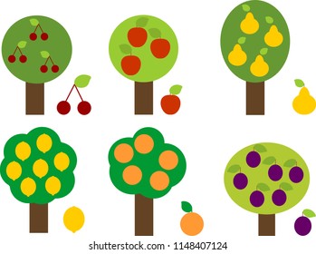 Set of different fruit trees in simplified cartoon style isolated on white background