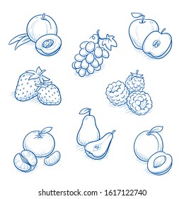 Set of different fruits: apple, pear, grape, peach, clementine, strawberry, raspberry and apricot. Hand drawn doodle vector illustration.