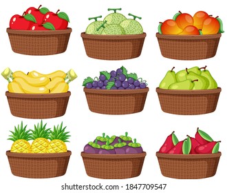 Set of different fruits in the basket isolated on white background illustration