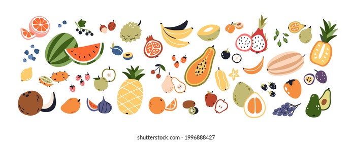 Set of different fruits and berries. Collection of organic vitamins and healthy nutrition. Watermelon, pineapple, bananas and avocado. Colored flat vector illustration isolated on white background