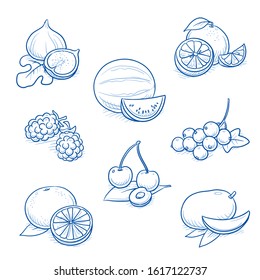 Set of different fruits: cherry, mango, blackberry, watermelon, orange, grapefruit, black current and fig. Hand drawn doodle vector illustration.