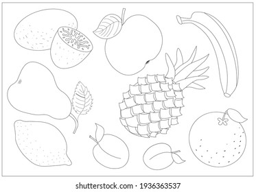 A set of different fruits for coloring (banana, pineapple, orange, lemon, apple, pear, plum and kiwi). Vector illustration.