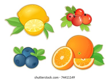 Set of different fruits with leaves. Orange, lemon, blueberry and red currant. Whole fruits and halves. Vector illustration