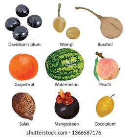 Set of different fruits on a white background.