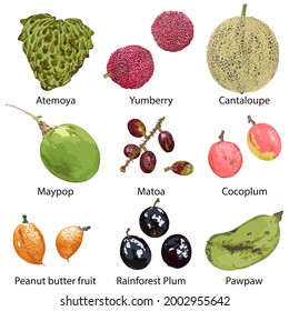 Set of different fruits on a white background.
