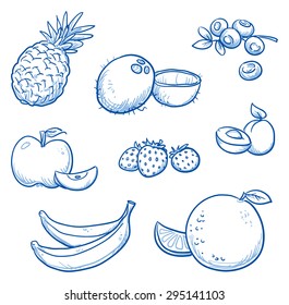 Set of different fruits: orange, coco nut, banana, apple, strawberry, apricot, blueberry, pineapple.  Hand drawn doodle vector illustration.