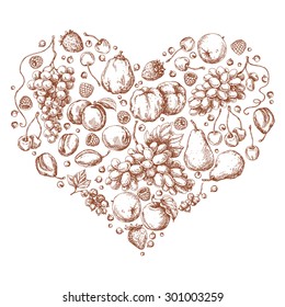 Set of different fruits in shape of heart. Hand drawn sketch of apple, pear, grape, quince, plum, apricot, cherry and berries. 
