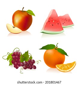 set of different fruits. vector illustration