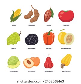 Set of different fruits and vegetables collection isolated on white background with corn, tamarind, cocoa, tomato, grapes, blackberry, paprica, golden melon, mushmelon, nectarine, water guava, cashew.