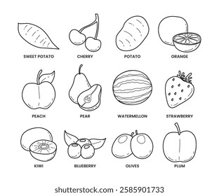 Set of different fruits and vegetables doodle outline collection isolated on white background with sweet potato, cherry, orange, peach, pear, watermelon, strawberry, kiwi, blueberry, olive, plum.