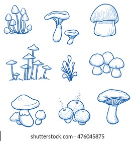 Set of different fungi and mushrooms. Hand drawn vector illustration.