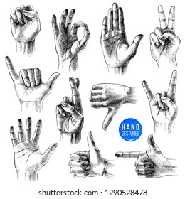 Set of different gestures. 11 hand drawn hands on white background. Vector illustration