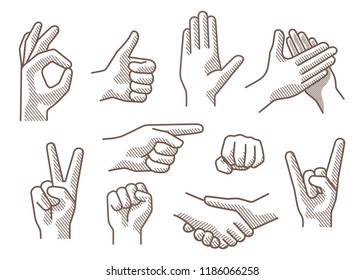 Set of different gestures hand, signs and signals.  Handshake, ok, stop,  pointing, victory, applause, fist, rock roll gesture. Outline vector illustration on white bacground.