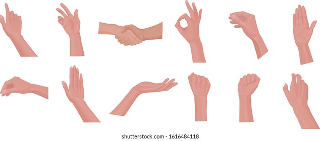 Set of different gestures with a human hand. Hand poses: okay, hello. Cartoon human male hands showing thumbs up, pointing and greeting.