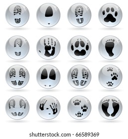 set of different glossy balls with human and animal prints