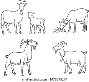 Set of different goats in contours. Vector illustration. EPS8