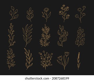Set different golden outline twigs on a black background