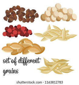 a set of different grains. Amaranth, kinoa, barley, buckwheat, oats, rye.