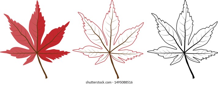 Set of different grape leaves. Includes colorful, contour and black outline leaves.