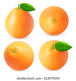 Set of different grapefruits views isolated on white background. Realistic vector illustration.