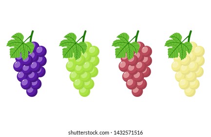 Set of different grapes isolated on white background. Bunch of purple, green, red, white grapes with stem and leaf. Cartoon style. Vector illustration for any design.