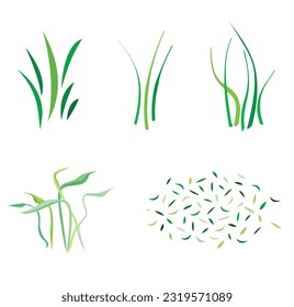 Set Of Different Grass Elements Vector Illustration