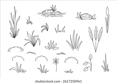 Set of different grass plant. Floral sketch. Line art element. Vector illustration.